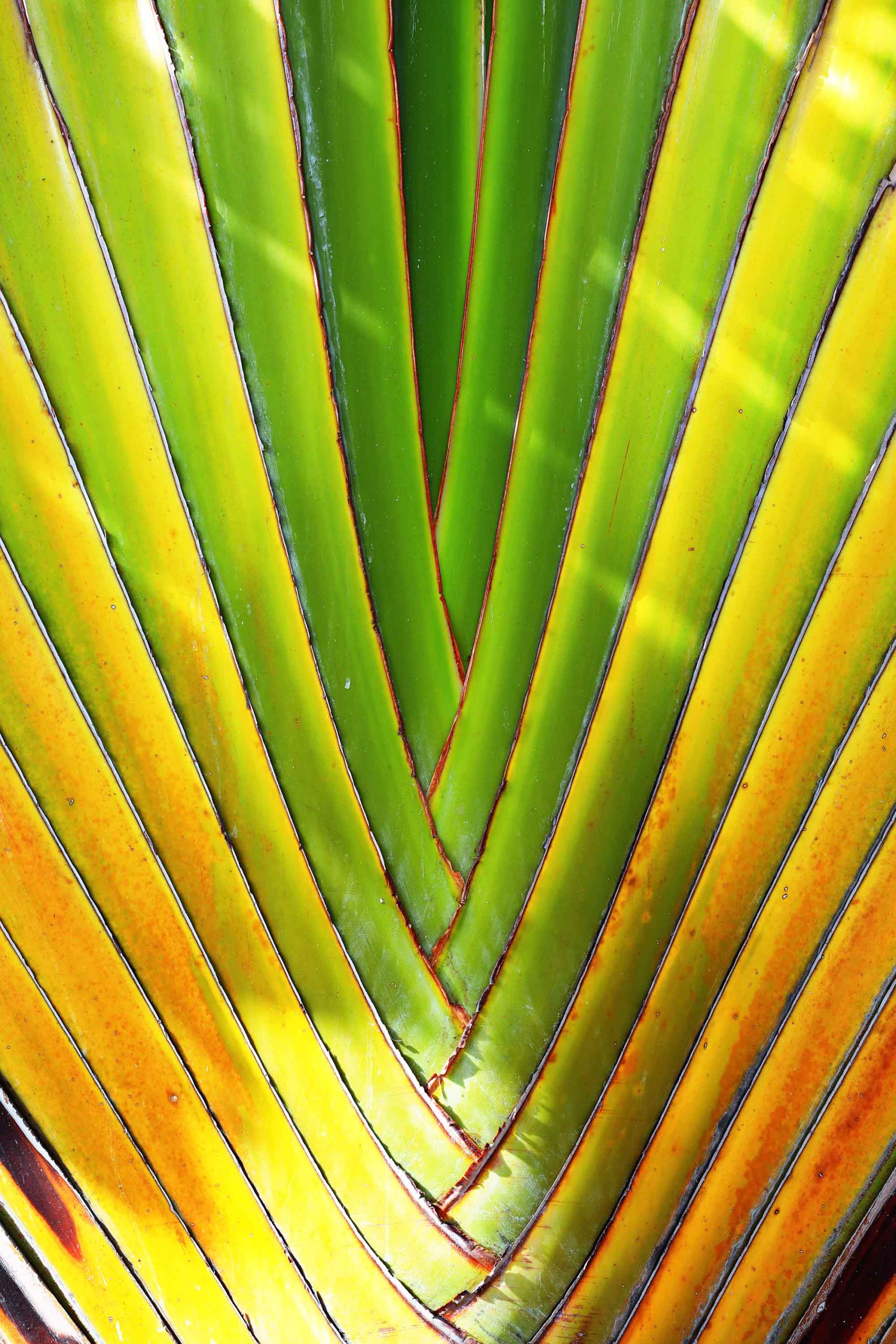 066A5471.KENYA50 copy