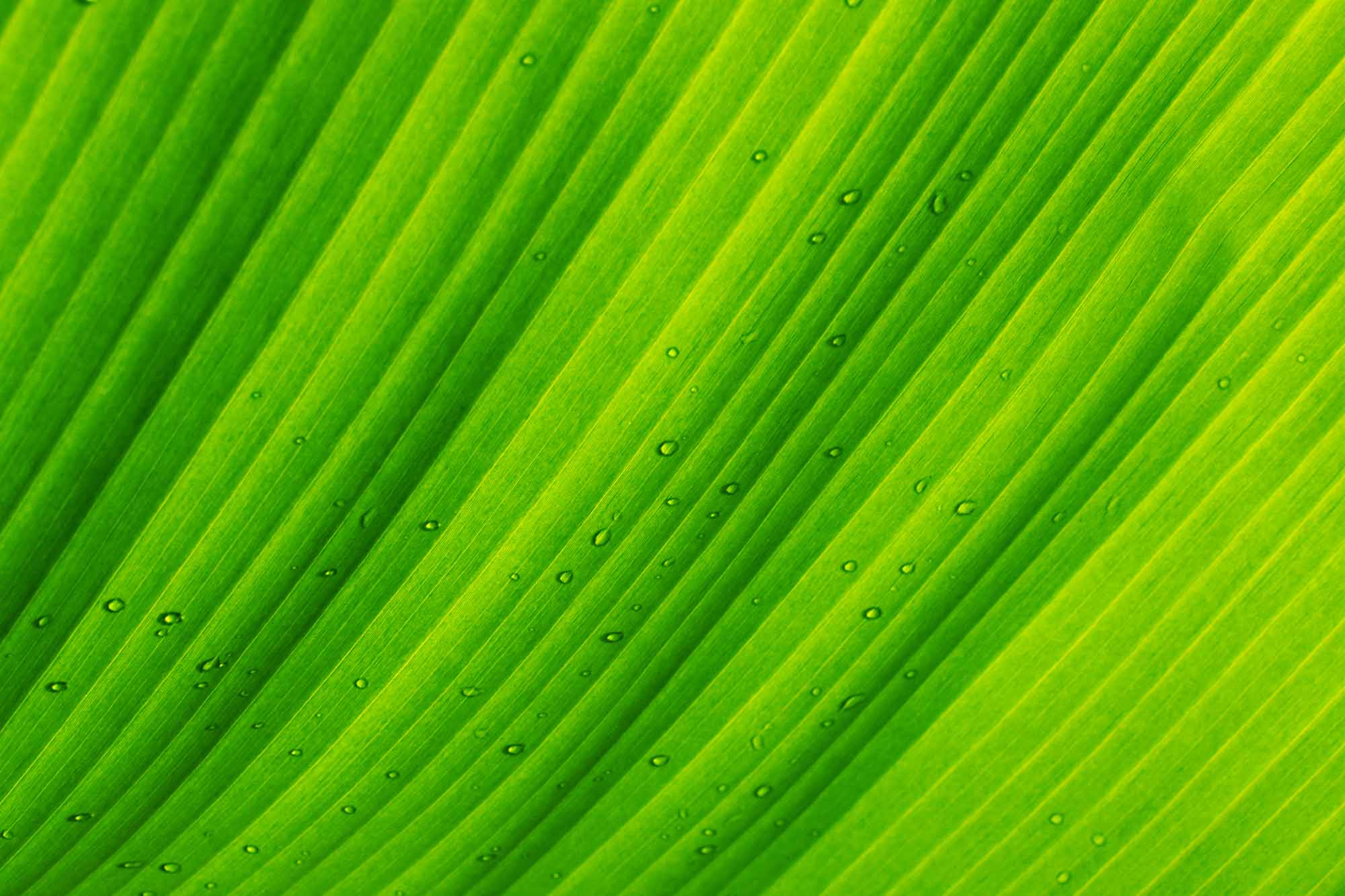PPX_0340.2 copy