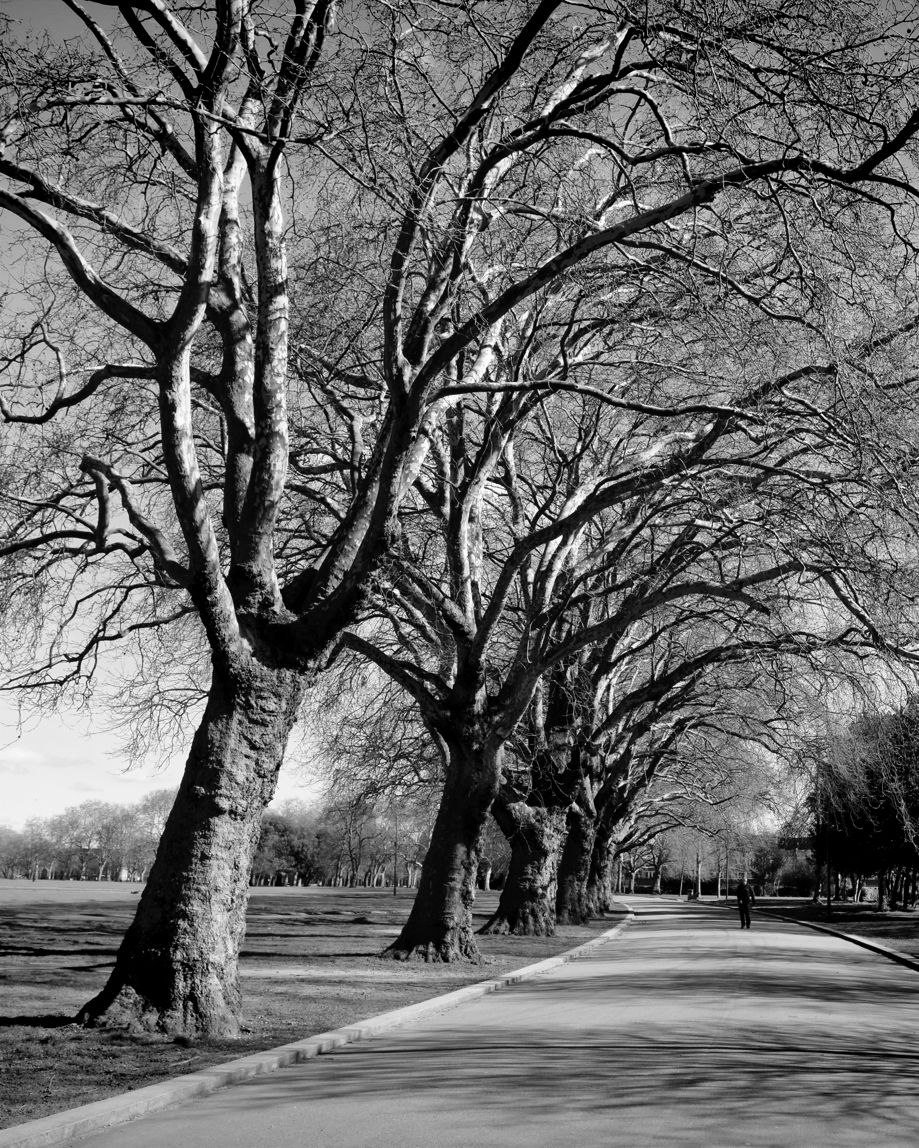PPX_8436.1.B&W.Vigniette.Bright19